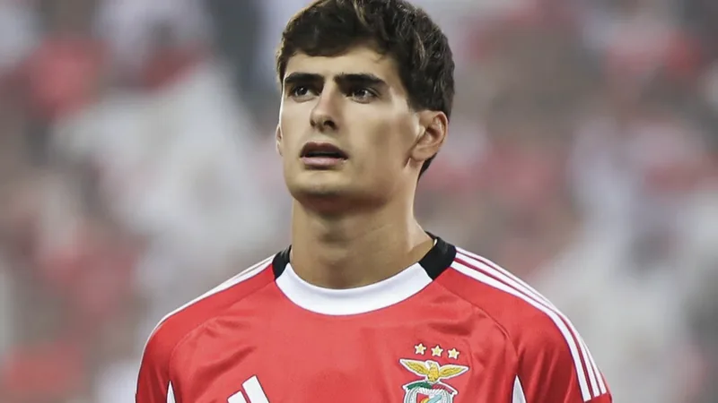 Jogador António Silva com a camisola do Benfica a defender durante um jogo no Estádio da Luz, em Lisboa — latest news and analysis.